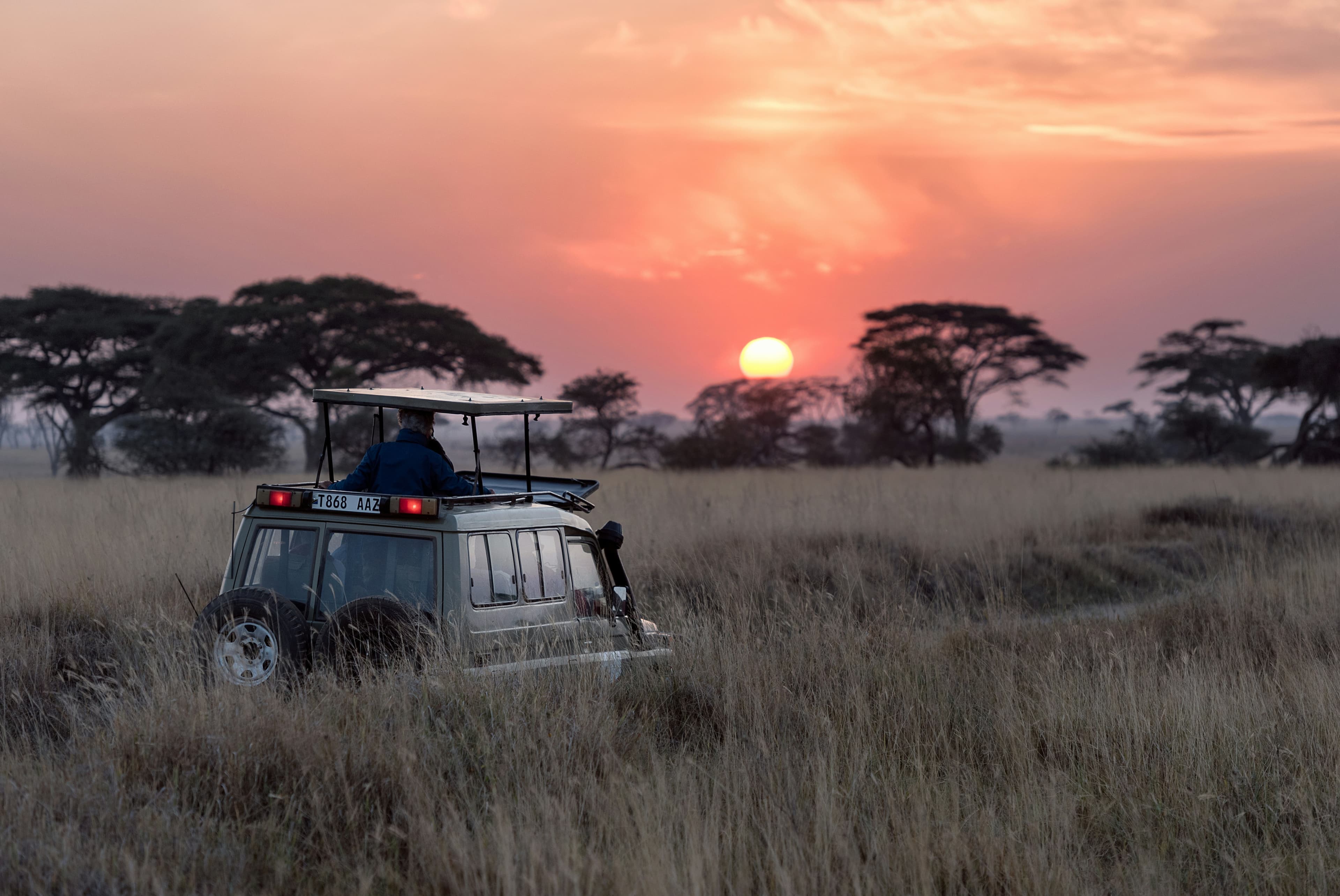 Serengeti Safari Adventure