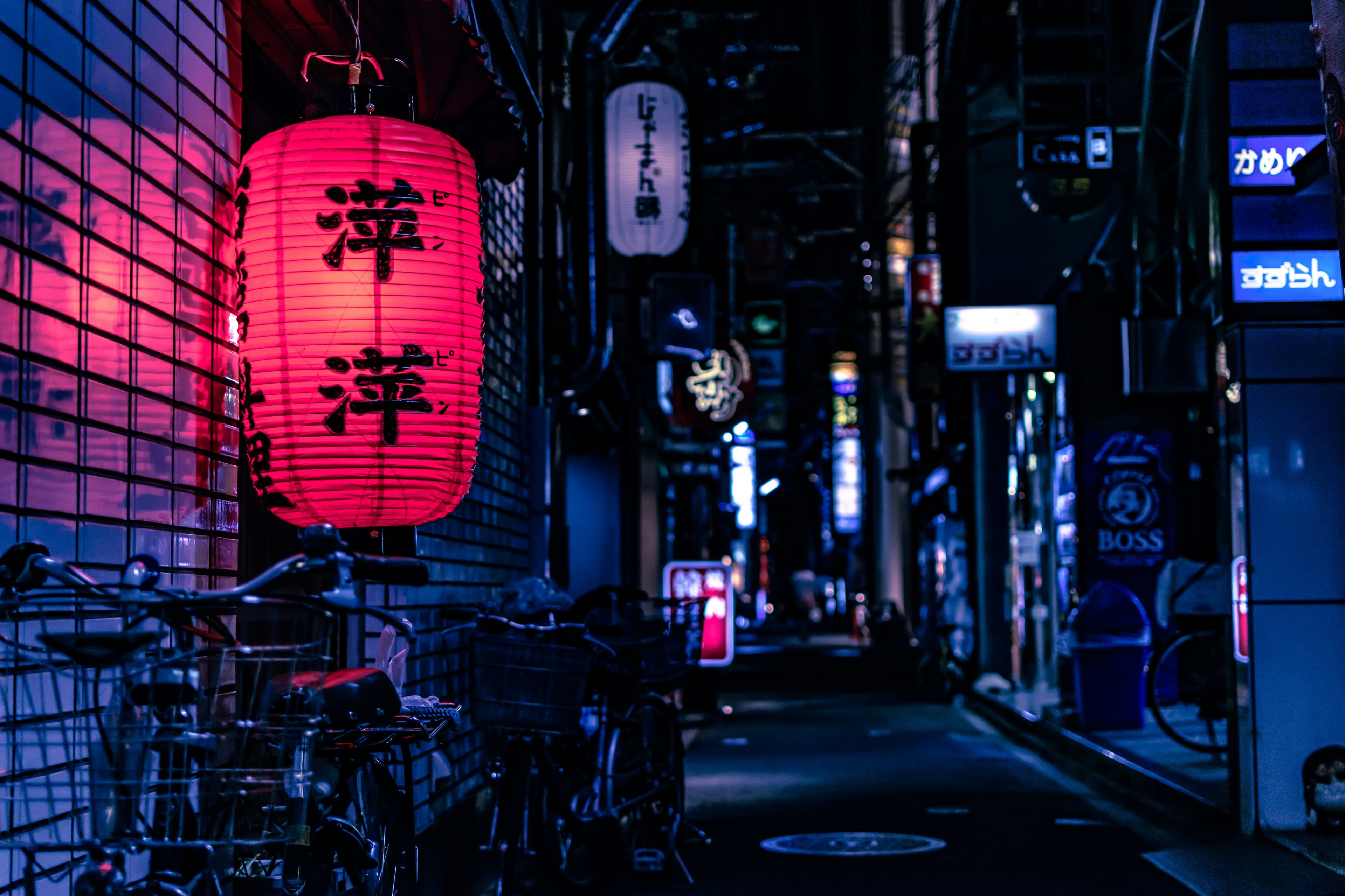 Kyoto Cultural Immersion — photo 2